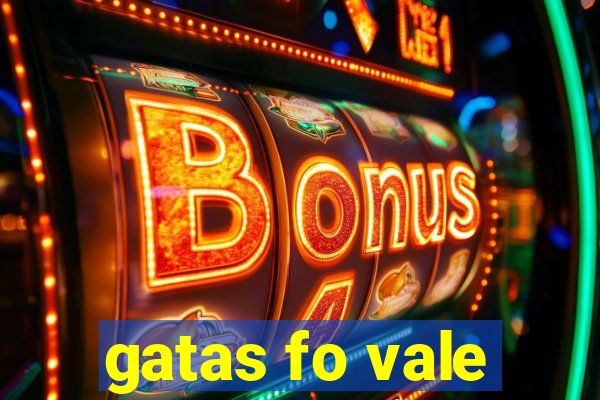 gatas fo vale